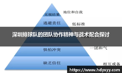星空·综合体育官网