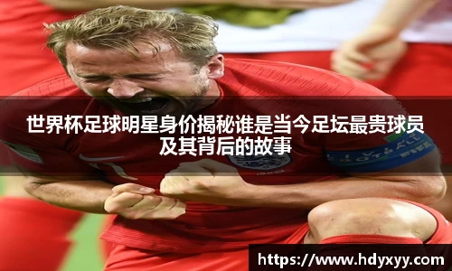 星空·综合体育中国官网入口