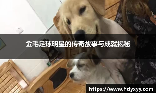 星空·综合体育入口