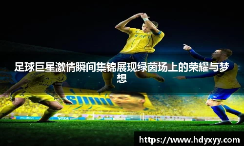 星空·综合体育官网